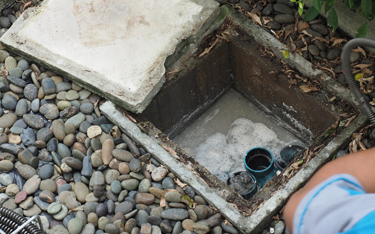 cano ou caixa de gordura