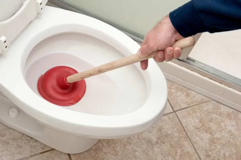 como desentupir vaso sanitario